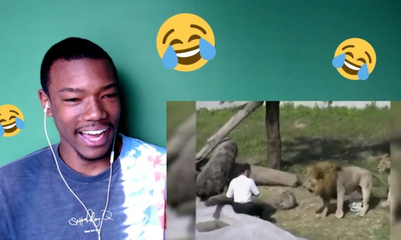 GETTING JUMPED BY LIONS LMFAO!!! - When Zoo Animals Attack Compilation Part 1 and 2 Reaction