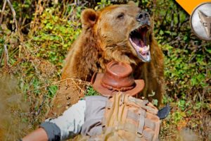 GRIZZLY BEAR ATTACK!