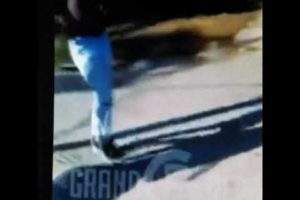 Gay couple fight hood fight street fight