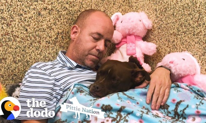 Guy Moves Into Animal Shelter Because He Loves This Pittie So Much | The Dodo Pittie Nation