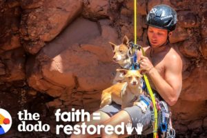 Guy Rappels Into Canyon To Save Abandoned Dogs | The Dodo Faith = Restored