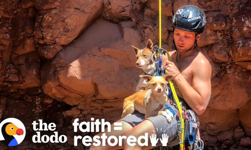 Guy Rappels Into Canyon To Save Abandoned Dogs | The Dodo Faith = Restored