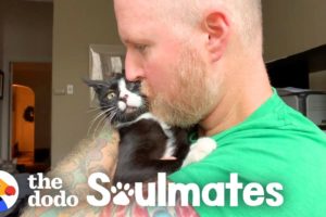 Guy Risks His Marriage For A Stray 3-Legged Cat | The Dodo Soulmates