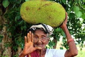 Jackfruit Biryani Recipe | Granny Cooking Jack fruit | Country foods