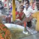 Kolkata Chaat in Agartala City - Spicy Samosa Papdi Chaat @ 20 rs Plate - Indian Street Food