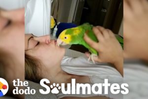 Loyal Parrot Is His Mom's Lifetime Companion | The Dodo Soulmates