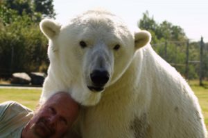 Man cuddles polar bear - Animal Odd Couples: Episode 2 Preview - BBC One