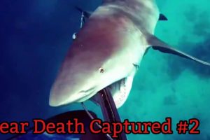 Near Death Captured - Day #2 [HD] Best Of October