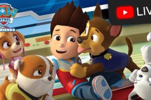 PAW Patrol Cartoons 24/7 LIVE NOW! ? Rescue Episode Marathon!