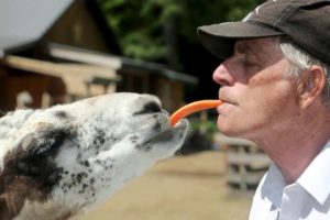 Petting farm for rescued animals could face sad ending