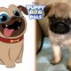 Puppy Dog Pals Characters In Real Life | Cute Puppies