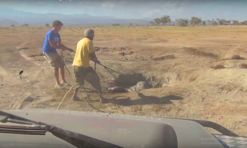 Rescue Animals Rescue A Baby Elephant Escape The Pond