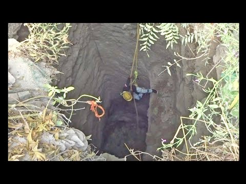 Rescue Puppies From The Well | Animal Rescue