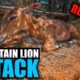Rescued Nilgai (Exotic Animal) from Mountain Lion! - Ranch Rescue - Day 39