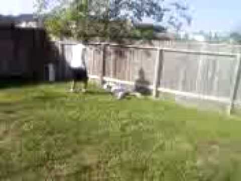 STREET HOOD FIGHTS