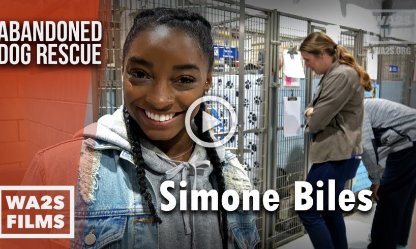 Simone Biles Spends A Night In the Dog House Helping Adopt Out Dogs - The Abandoned Dog Rescue Show