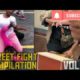 Street Fights Compilation 2019 (WSHH Fight Comp)(HOOD FIGHTS) Savage Fights! (NEW) (vol.2)