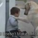 Sweet Mama Dog Interacting with a 3yo DS child From Jim Stenson.