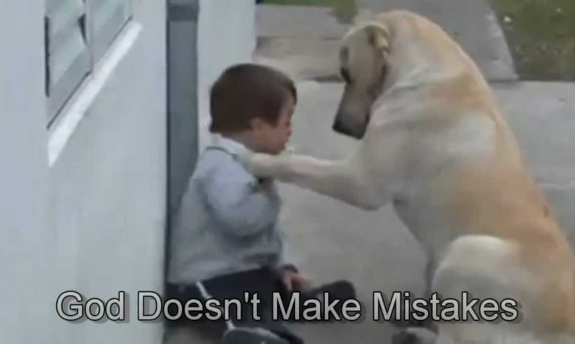 Sweet Mama Dog Interacting with a 3yo DS child From Jim Stenson.