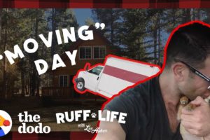 The Pack Moves Into A New House During A Blizzard | Ruff Life With Lee Asher