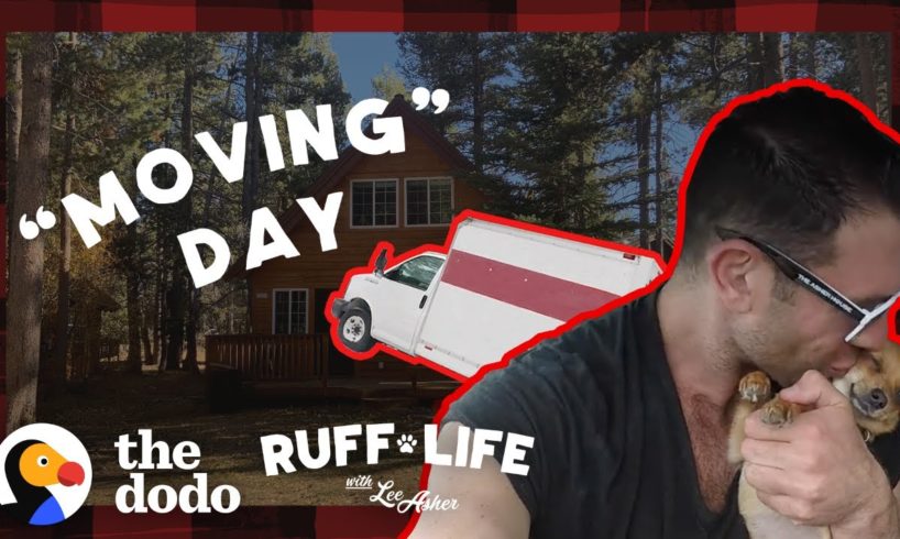 The Pack Moves Into A New House During A Blizzard | Ruff Life With Lee Asher