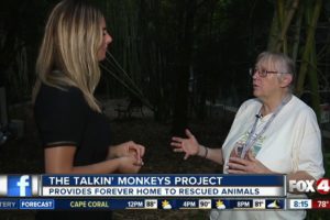 The Talkin' Monkeys Project provides forever home to rescued animals