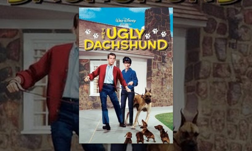 The Ugly Dachshund