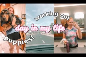 VLOG: cute puppies, working out, + being productive