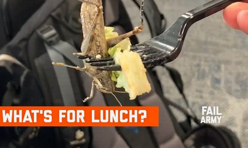 What's For Lunch? Food Fails (November 2019) | FailArmy