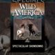 Wild America Specials: Spectacular Showdowns