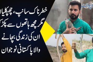 Wildlife Conservation In Pakistan | Rescuing Animals In Need
