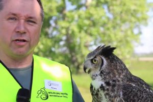 Wildlife Haven leasing new home for rescued animals from TransCanada