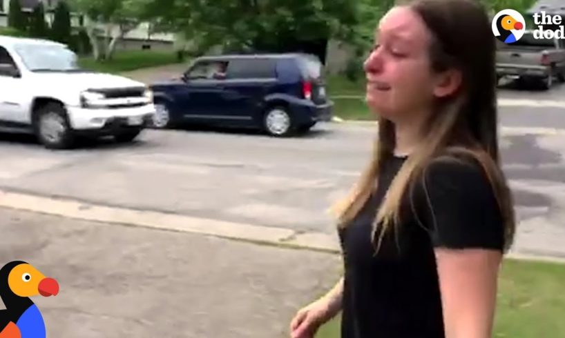 Woman Is So Determined To Find Her Lost Cat | The Dodo