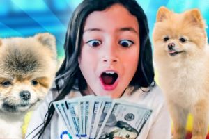 ZoZo Buys 2 Very Cute Puppies | Funny Skit and Song