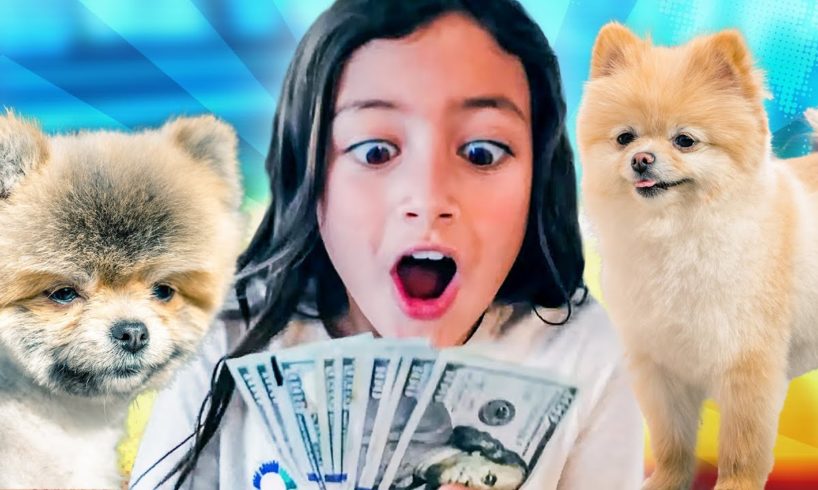 ZoZo Buys 2 Very Cute Puppies | Funny Skit and Song