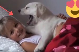 cute dogs cuddling and playing with babies ? Funny and cute Animals Compilation 2019 (part 5)