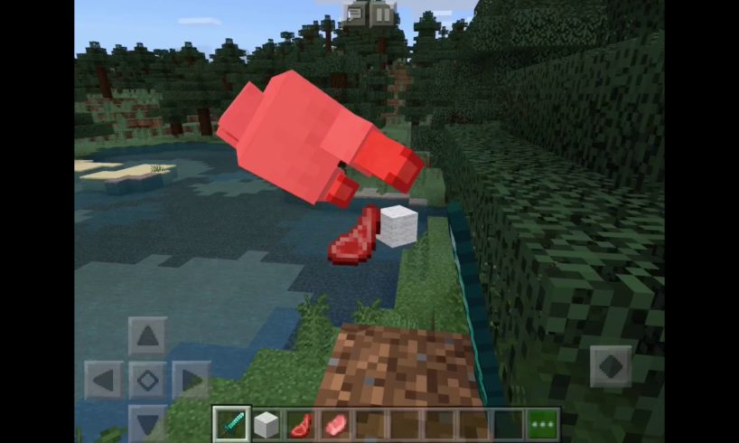 minecraft animals dying for half a minute