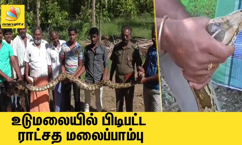 10 feet long snake rescued by Forest Officers in Tirupur district | Animals in India