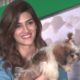 Kriti Sanon's MOST ADORABLE CUTE MOMENTS With Little Puppies
