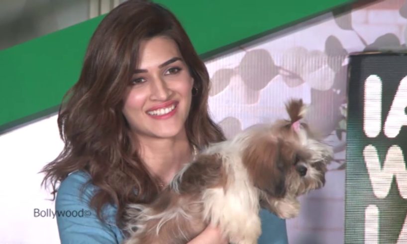 Kriti Sanon's MOST ADORABLE CUTE MOMENTS With Little Puppies