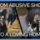 5 Bears Go From Abusive Show to Loving Home | PETA Animal Rescues