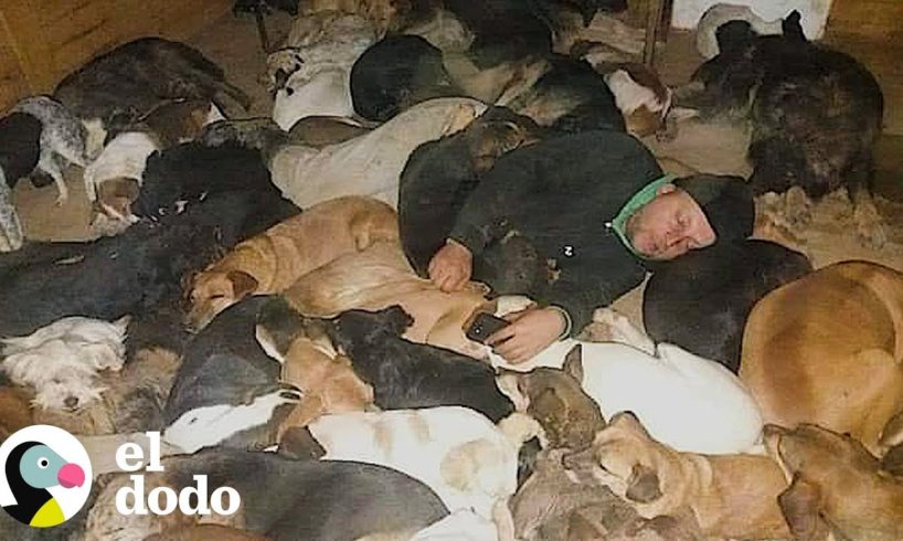 600 perros duermen con su dueño en -20C° | El Dodo