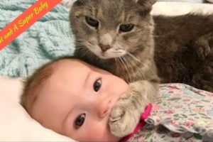 A cute baby and a cat - A baby and a cat play and fail | Baby and animals compilation