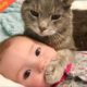 A cute baby and a cat - A baby and a cat play and fail | Baby and animals compilation