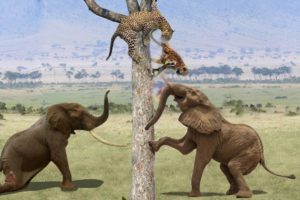 Amazing Elephant Rescue Monkey and Take Down LEOPARD - Amazing Animals Attack Compilation 2020