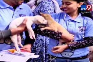 Anand's unique pet adoption drive helps stray dogs find shelters | Anand - Tv9