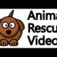 Animal Rescue Compilation/ Rescue wild boar
