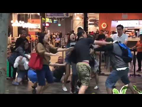 Animals fight over A&W at Jewel Changi Aiport 8 Dec 2019 - Singapore
