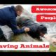 Awesome People Saving Animals ► People Are Awesome 2016