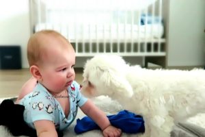 BABY & PUPPY PLAY TOGETHER!! (So Cute!)